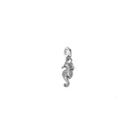 Load image into Gallery viewer, Silver seahorse charm on a white background
